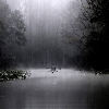 ...ráno na Ocklawaha River...