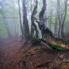bučiny nad Mikulovem,Krušné hory