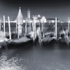 Venice...
